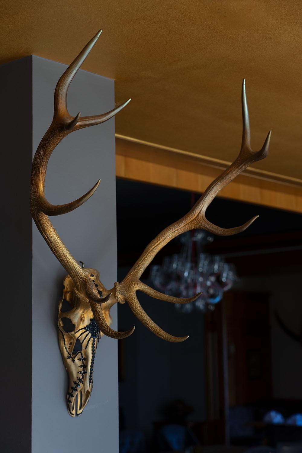 Wildauers Haidenhof Stay & Sleep Lienz Zewnętrze zdjęcie